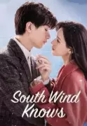 South Wind Knows Review: A Mandarin-Hindi Romance Streaming on MX Player