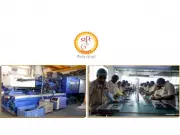 Srigee DLM Ltd Reports Strong H2 FY26 Results with 104.69% PAT Surge