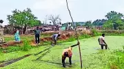 Stolen Timber Found Hidden in Pond in Chhattisgarh Tiger Reserve Zone