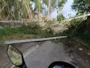 Storm Causes Rs 1.25 Crore Loss to PSPCL in Doaba Region