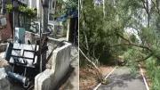 Storm Causes Rs 19.54 Crore Loss to Punjab Power Infrastructure