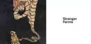 Stranger Forms: Rediscovering G.C. Chakravarty's Forgotten Art in Kolkata