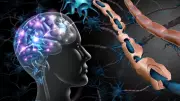 Study Explores Gut Bacteria Treatment for Multiple Sclerosis
