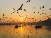 Sultanpur Park deploys AI cameras and drones for Haryana's first digital bird census
