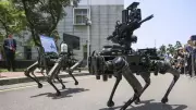 Taiwan unveils armed robot dogs to boost defenses against China