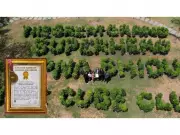 The Cube Club Sets World Record with 10,000 Plant Green Installation