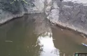 Three brothers drown in Narmada pond in Nandurbar, police say