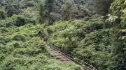 Tourist Entry Restricted at Karnataka's Yana Caves Due to Rain Safety