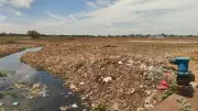 Trichy's largest waterbody Mavadikulam tank gets Rs 1.4 crore rehab