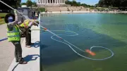 Trump: Several Arrests in Lincoln Memorial Reflecting Pool Vandalism