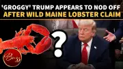 Trump Viral: Wild Lobster Claim Then Appears to Drift Off at Bill Signing