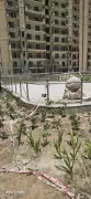 Two workers die after fall from 37th floor in Greater Noida, safety belts fail