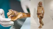Ötzi the Iceman's Microbiome Reveals Signs of Ancient Biological Activity