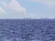 UN Agency Plans Evacuation of 11,000 Seafarers via Strait of Hormuz