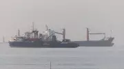 US Forces Escort 70 Commercial Ships Through Strait of Hormuz: Report