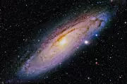 Vera Rubin Observatory Starts Decade-Long Cosmic Survey with Largest Camera
