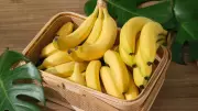 What Happens When You Eat 1 Banana Daily for 45 Days?