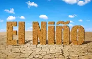 Why a Strong El Niño Leaves Tropical Commodities Acutely Exposed