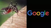 Wolbachia Mosquitoes: A Promising Tool to Combat Dengue and Other Diseases