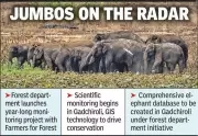 Year-long scientific study on elephants in Gadchiroli approved