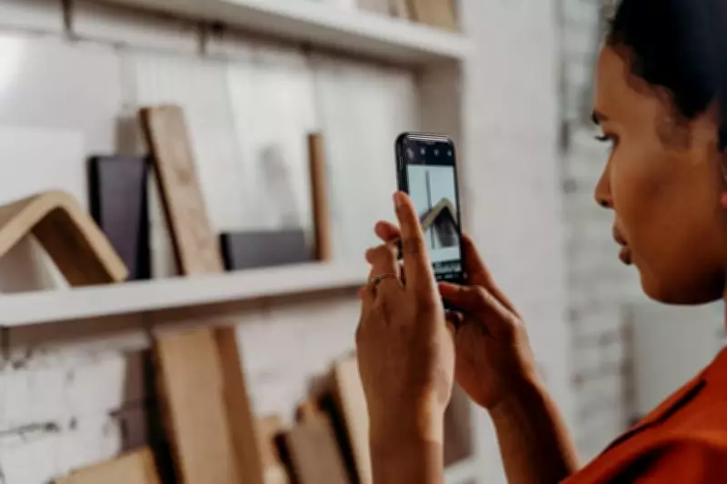 6 Best Household Bug Identification Apps: Features & User Guide