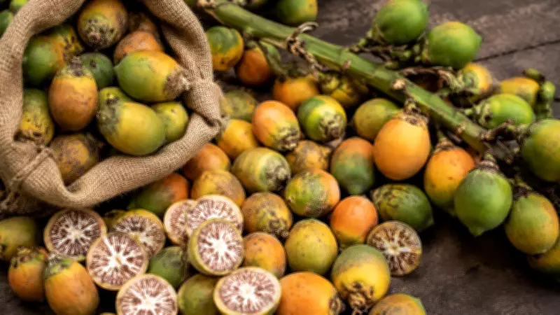 Areca consignments detained in Maharashtra: Growers, traders worried