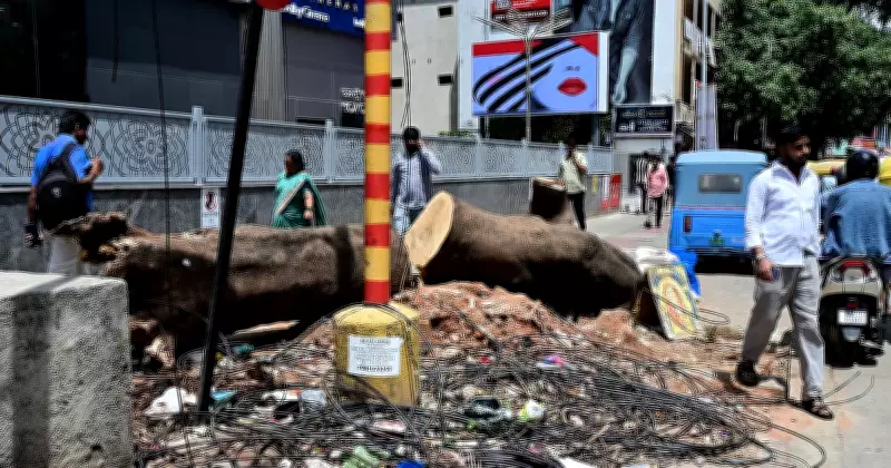 Bengaluru loses 19,268 trees in three years: development, private actions