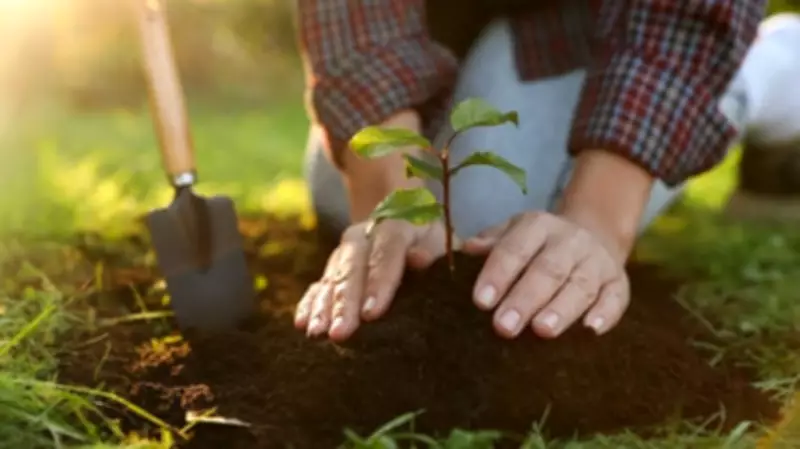Bengaluru RWAs to Get Priority in Tree Plantation Initiatives