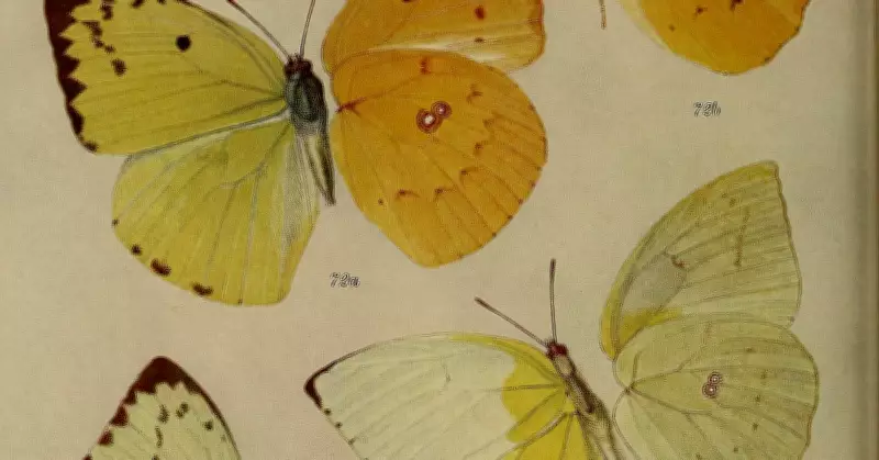BNHS: 140 Years of India's Wildlife Conservation and Documentation