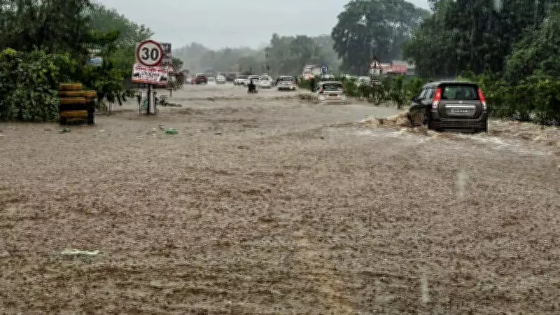 Boy swept away in nullah as heavy rains batter Palghar; 180+ moved to safety