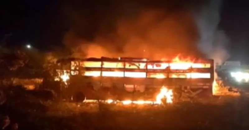 Bus rams into truck on Delhi-Mumbai Expressway, catches fire in Rajasthan