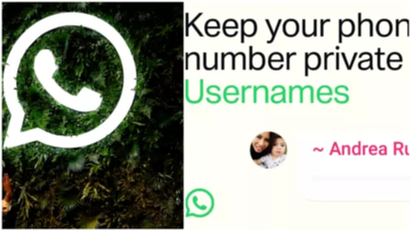 Centre Issues Notice to Meta Over WhatsApp Username Feature, Halts Rollout