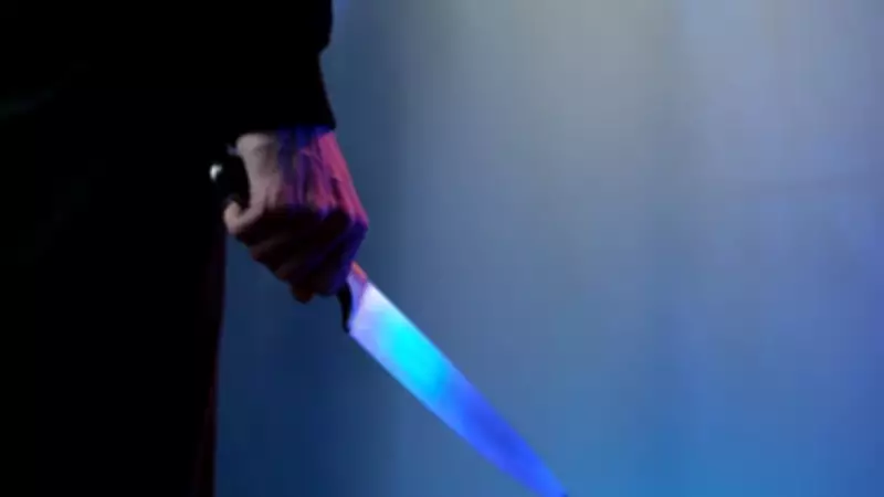 Delhi Youth Held for Flaunting Knife on Social Media for Clout