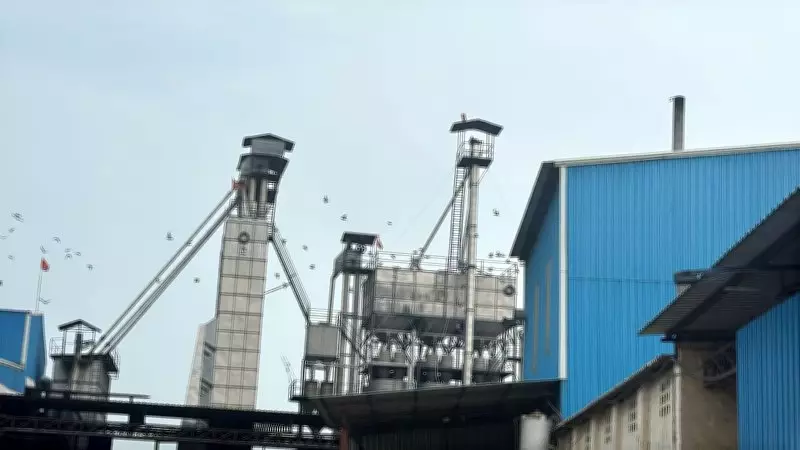 Haryana Industries Oppose Stricter PM Emission Norms, Seek Existing Limits