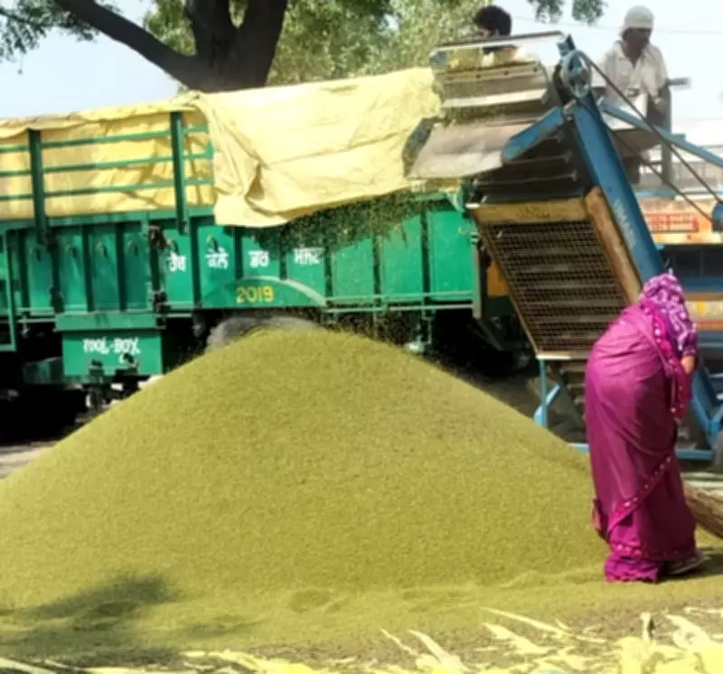 High Moong Prices Drive Crop Diversification in Faridkot Region