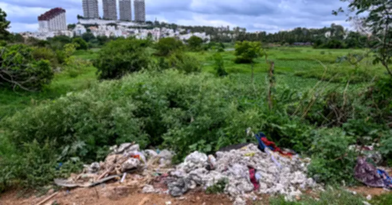 Hosakerehalli Lake Choking Under Garbage and Weeds Due to Neglect