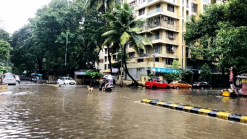 IMD Red Alert: Mumbai, Thane, Palghar Brace for Heavy Rain; Local Trains Hit