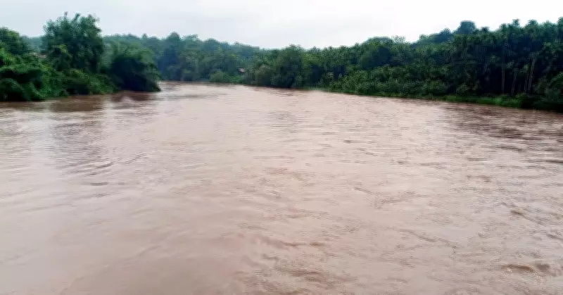 Karnataka: Rain, Winds Cause Damage Across Malnad Region