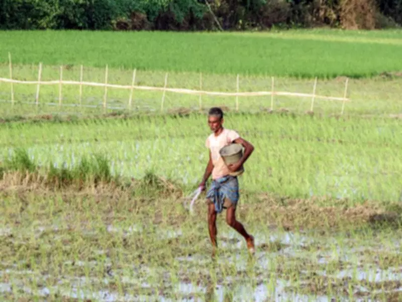 Kharif sowing down 23% as sluggish monsoon hits planting across India
