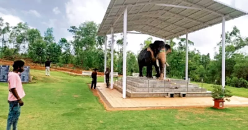 Life-Size Sculpture Honors Dasara Elephant Arjuna in Mysuru