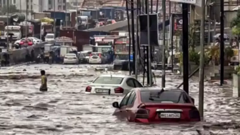 Maharashtra Floods: Thane-Palghar Hit by Heavy Rains, Wall Collapses Reported