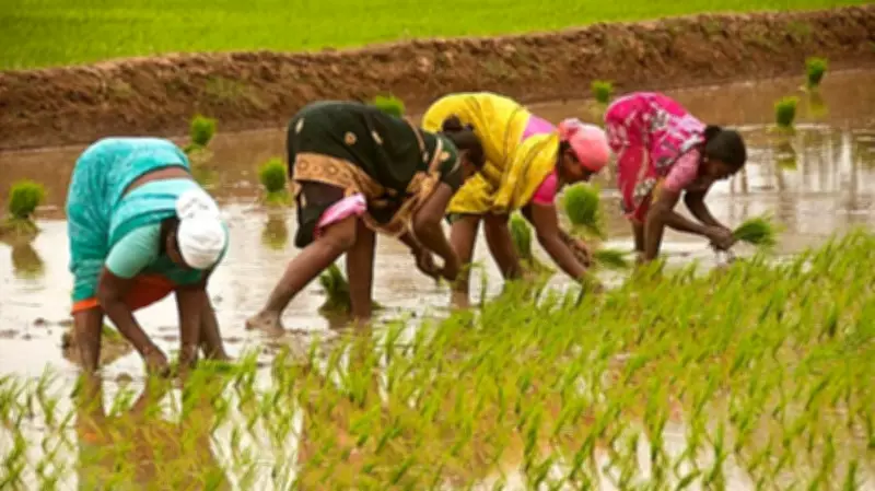 Maharashtra Unveils Women Farmers Bill for Recognition and Rights