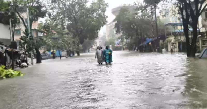 Maharashtra's Vasai Floods Repeatedly: Salt-Pans, Encroachments Key Causes