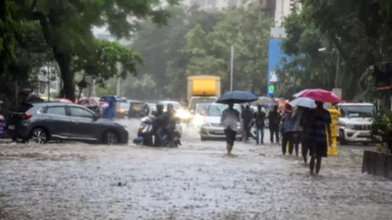 Mumbai Rains: Schools Closed, Waterlogging Disrupts Local Trains