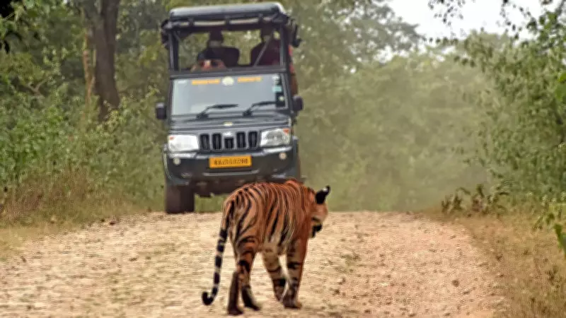 Only 21% tourism capacity used in Bandipur, Nagarahole: Report