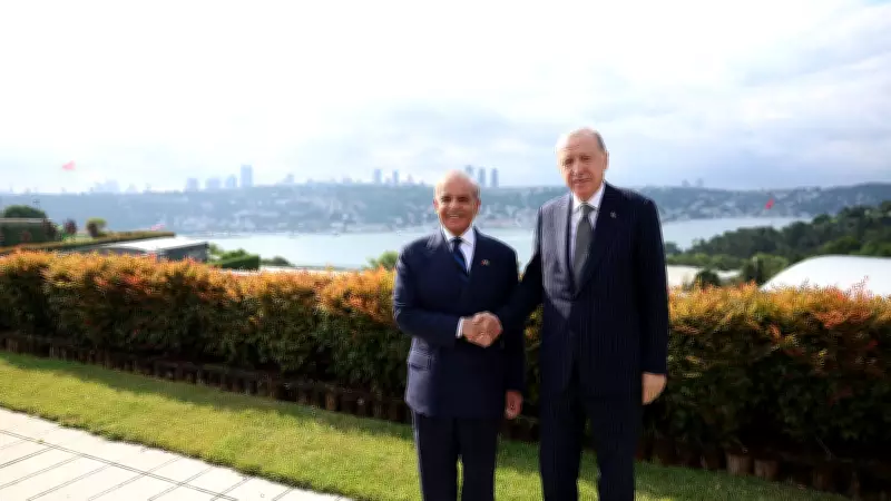 Pakistan, Turkiye Progress Interconnected: PM Sharif, Erdogan Discuss Trade, Defence in Istanbul