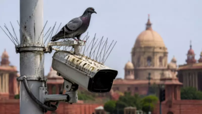 Pigeon droppings blind Delhi police CCTV cameras, spikes deployed