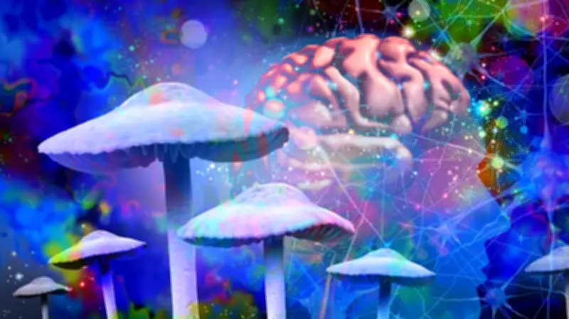 Psychedelics for ADHD? Science Shows Little Evidence