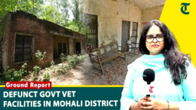 Punjab's Animal Healthcare in Crisis: Empty Vets, Absent Staff