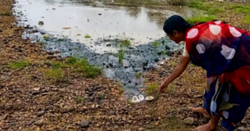 Rain in Western Ghats Brings Cheer to North Interior Karnataka Farmers